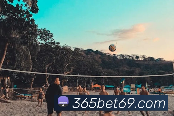 365betAPP 封面图